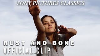 Rust and Bone | 