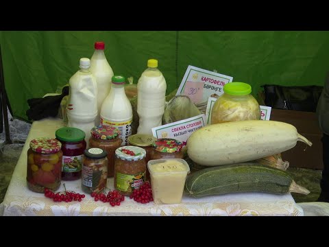 В Нурлате прошла праздничная сельскохозяйственная ярмарка.