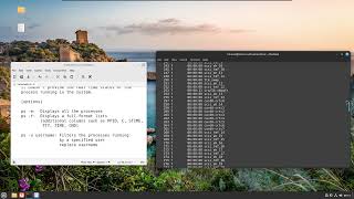 Process in Linux (Command: ps)