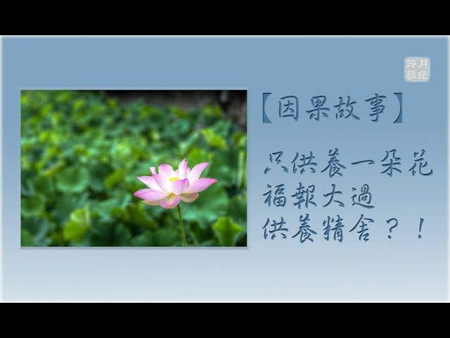 因果故事 只供養一朵花 福報大過供養精舍 如俊法師導讀 Youtube 因果故事 只供養一朵花 福報大過供養精舍 如俊法師導讀 Youtube