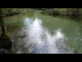 Springs on Econfina Creek