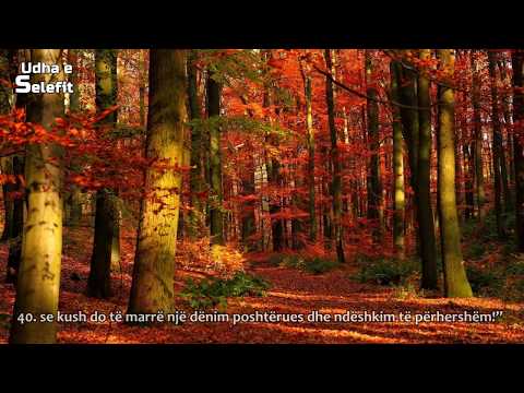 Surja Zumer Shejkh Maher Al Muaiqly Me Titrim Shqip