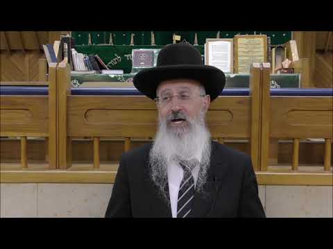 הרב אברהם יוסף הלכות ודיני ליל הסדר תשע"ח חלק ב'