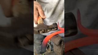 sharp-edged knife #blacksmith #fypシ #foryou ##forgedfromiron #metal #art #shortvideo #viralvideo