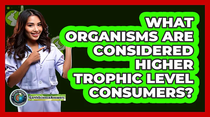 What Organisms Are Considered Higher Trophic Level Consumers?