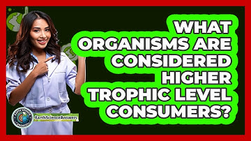 What Organisms Are Considered Higher Trophic Level Consumers?