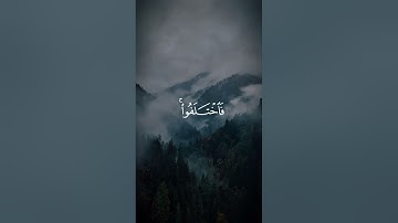 وما كان الناس إلا/ القارئ عبدالرحمن مسعد #قرآن