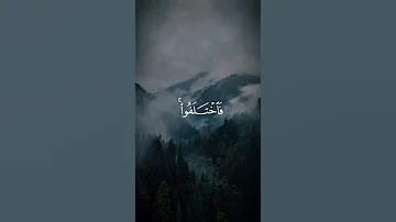 وما كان الناس إلا القارئ عبدالرحمن مسعد قرآن 