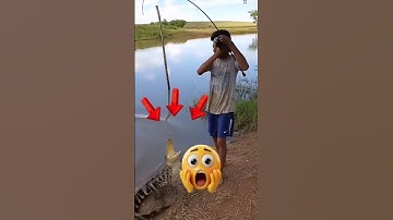 mancing ikan strek buaya besar ‼️ #shorts #fishing #mancing