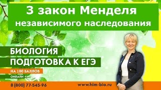 3 закон Менделя. Закон независимого наследования. С примером.Подготовка к ЕГЭ и ОГЭ по биологии 2017 3 закон Менделя. Закон независимого наследования. С примером.Подготовка к ЕГЭ и ОГЭ по биологии 2017