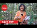 ආලංග මාලුව - Episode 478 -  Alanga Curry