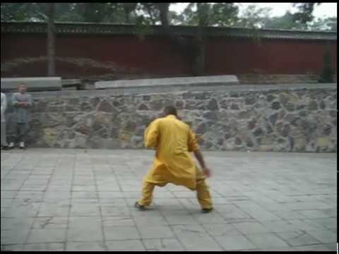 Shaolin Monk - Chang Hu Xin Yi Men