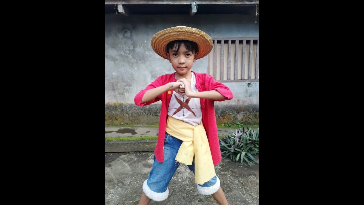 Luffy Costume