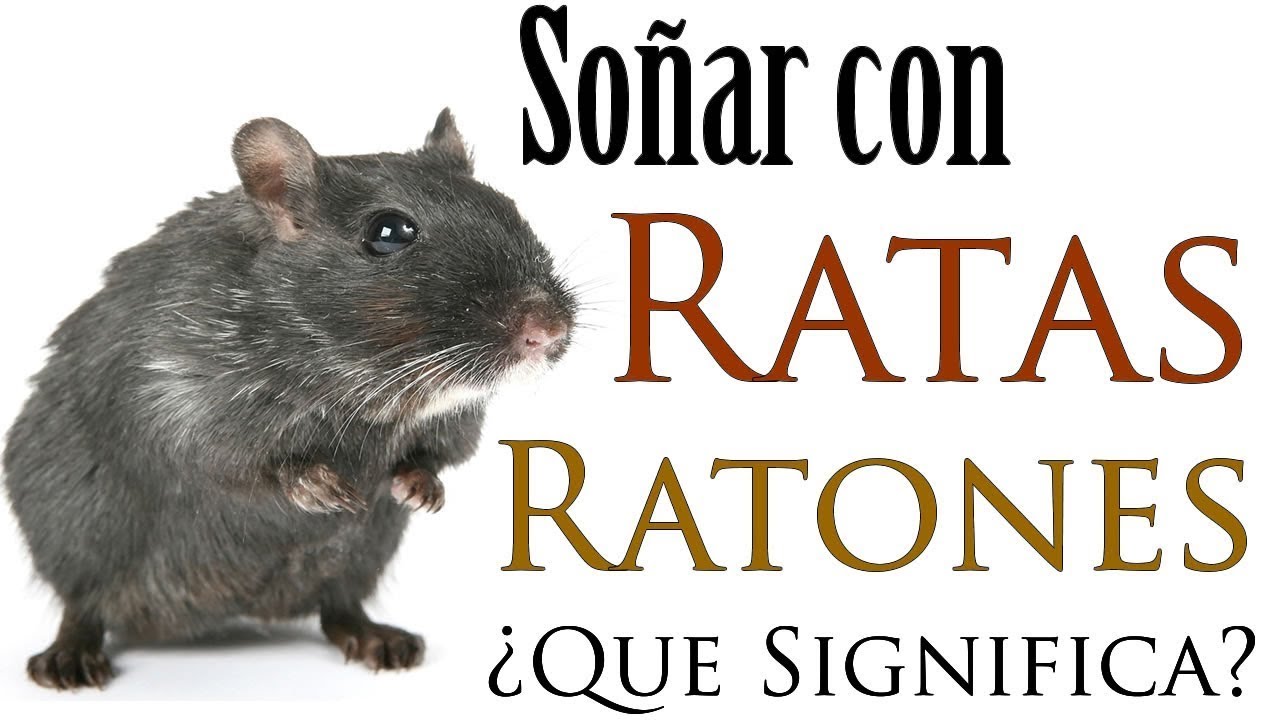 Que significa soñar comiendo ratones