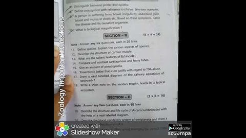 AP TS Zoology Important Questions for Inter 2017