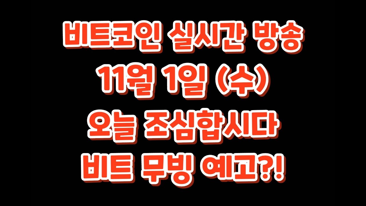 비트코인 11월 1일 라이브 방송 / 오늘 비트 무빙 조심합시다~~!!