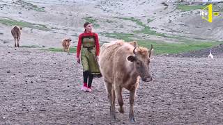 Böyük Qobustan ərazisində yerləşən ən böyük qışlaqda indi vəziyyət necədir?