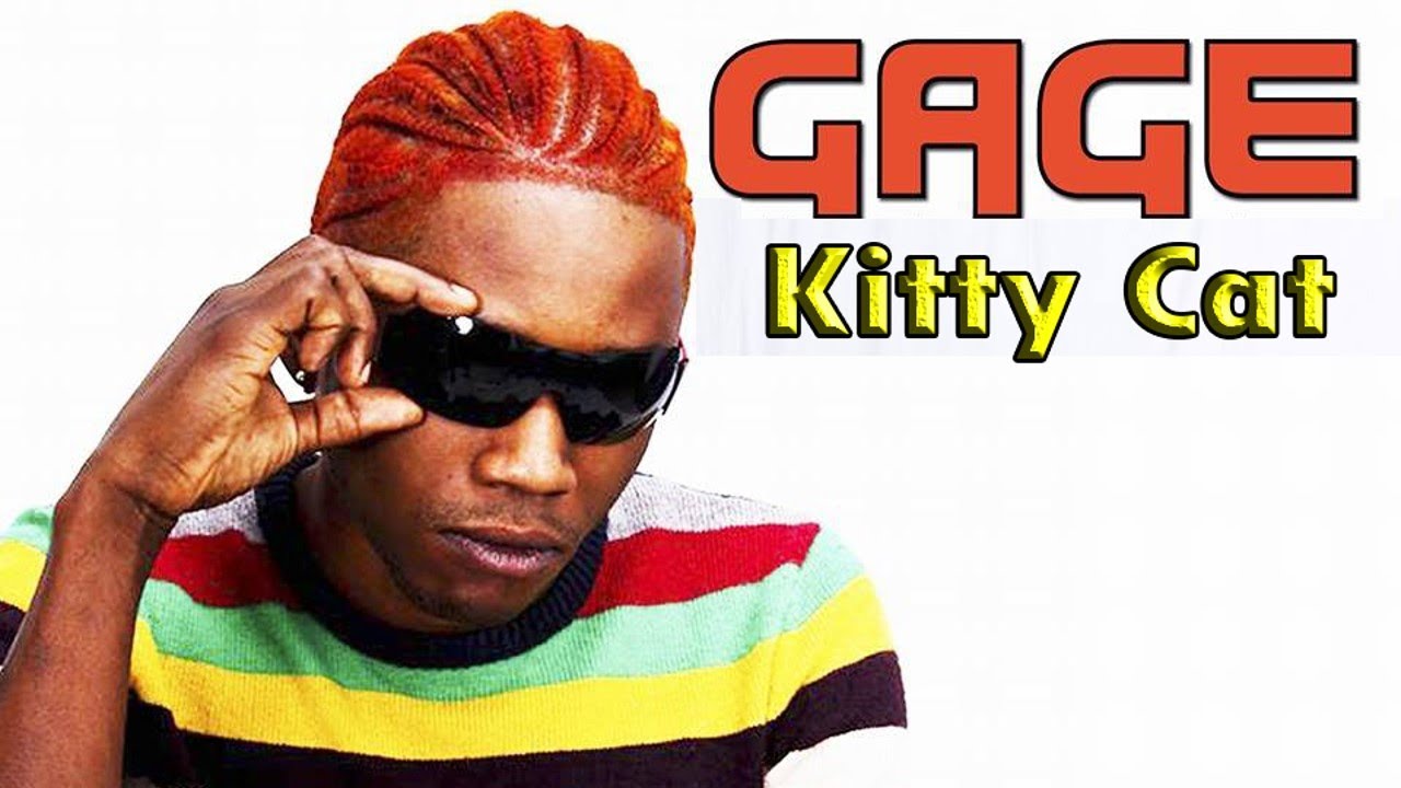 Gage Kitty Cat (Raw) January 2014 YouTube