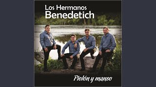 Video thumbnail of "Los Hermanos Benedetich - El Golpe Traidor/La Tierra de la Yerba/Esta Noche Te Gateo"