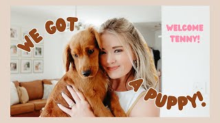 WE GOT A PUPPY!  //  prep for a puppy with me + welcome tenny  🐶 🎀 🦴