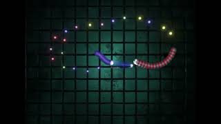tangld.in multiplayer eat-them-all game trailer screenshot 4