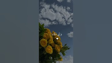 راحة نفسية💛✨حالات واتس اب قران//مقاطع دينية قصيرة آيات قرانية//ستوريات انستا#قران