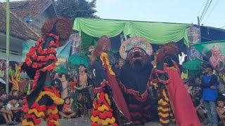 Perang Barong | Jaranan Dewi Sekartanjung feat Semembur Crew live Watukebo,Blimbingsari - Banyuwangi