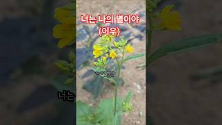 너는 나의 별이야 이우 #음악 #이우 #발라드