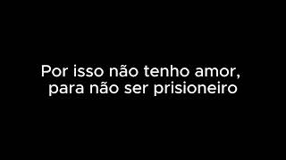 Vídeo de Dinheiro, Bebida E Mulher