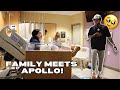 APOLLO MEETS HIS FAMILY FOR THE FIRST TIME!! *Emotional*