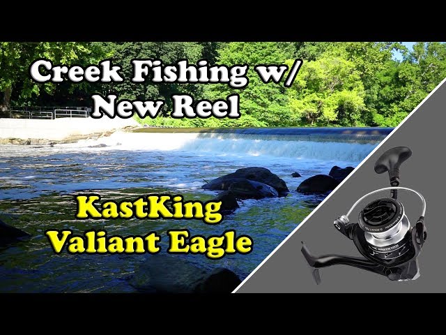  KastKing Valiant Eagle Spinning Reels, Black Gold Fishing Reel,  Size 1000 : Sports & Outdoors