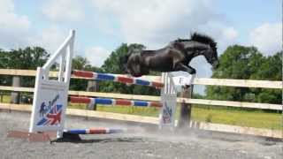 Tywford Miffty Loose Jumping 1.10m