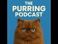 Episode 199 - Peaceful Cat Purring for Mindful Sleep and Relaxation – (ASMR, Deep Sleep, Meditati...