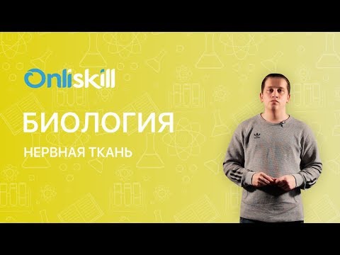 Биология 8 класс: Нервная ткань