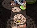 The Garlic Hack That Feels Illegal #facts #shorts