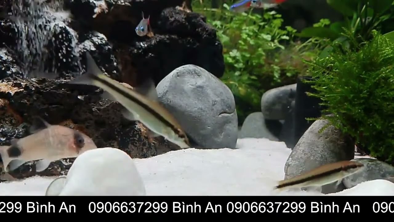 01022026 564   Unlock 100% Brain Power & Music for Mental Clarity 