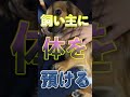 犬が飼い主に寄りかかるのは、ばかにしてるわけじゃない！ #shorts