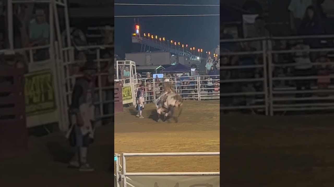 Bull rider makes a textbook ride! 