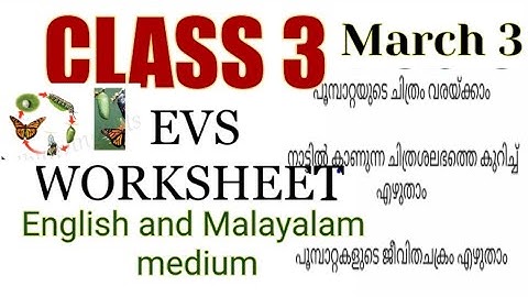 Class 3 Evs worksheet march 3|kite |victers worksheet |3 class evs march 3 work|victers 3