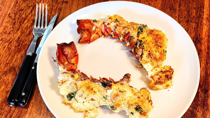 CATCH N COOK | Crayfish (Lobster) Mornay