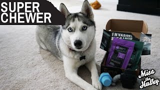 Super Chewer BarkBox Unboxing | March 2021