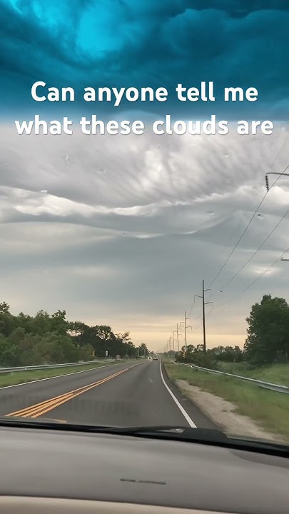 This is the coolest thing I have ever seen - YouTube