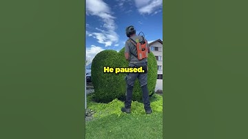 My Wife Got A Court Order For Our Safe Deposit Box, Sure I’d Hidden My Inheritance There.