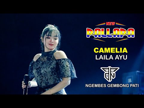 MALAM INI TERBONGKAR‼️ EGGI SUDJANA MENGAKU PENGACARANYA ELIDA DISUAP JOKOWI 5 M UNTUK JADI TERMUL😱