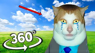 Monday Left Me Broken Cat Finding Challenge But It's 360 Degree video