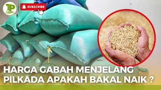 HARGA GABAH HARI INI TANGGAL 29 AGUSTUS 2024 ‼️ MENJELANG PILKADA 2024 APAKAH NAIK LAGI ???