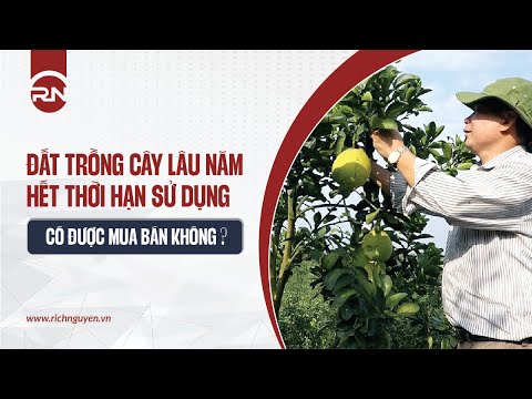 Video Đất trồng cây lâu năm hết thời hạn sử dụng có được mua... - youtube