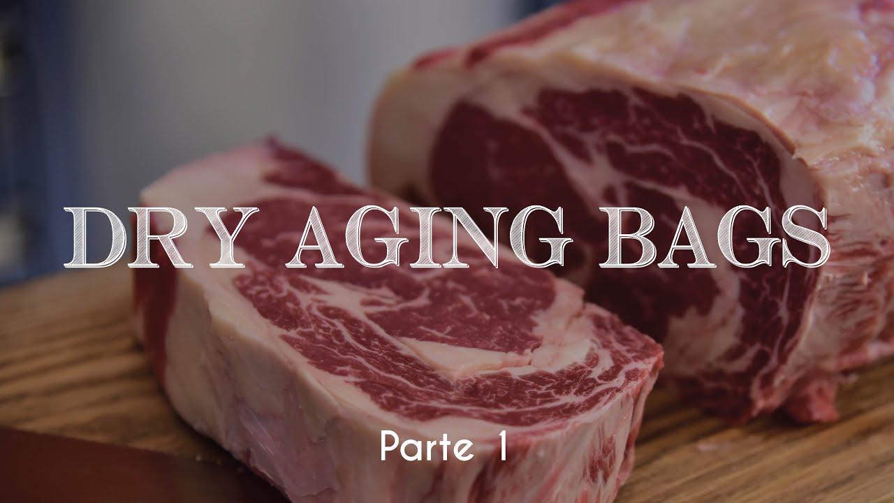 DRY AGING BAGS Le proviamo insieme [Parte 1] YouTube
