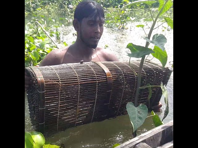 Amazing baim fishing with bamboo cage class=