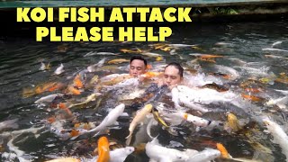 koi fish attack at La Verna Resort - inspired by Dexter's world and Paul cuffaro #PaulCuffaro